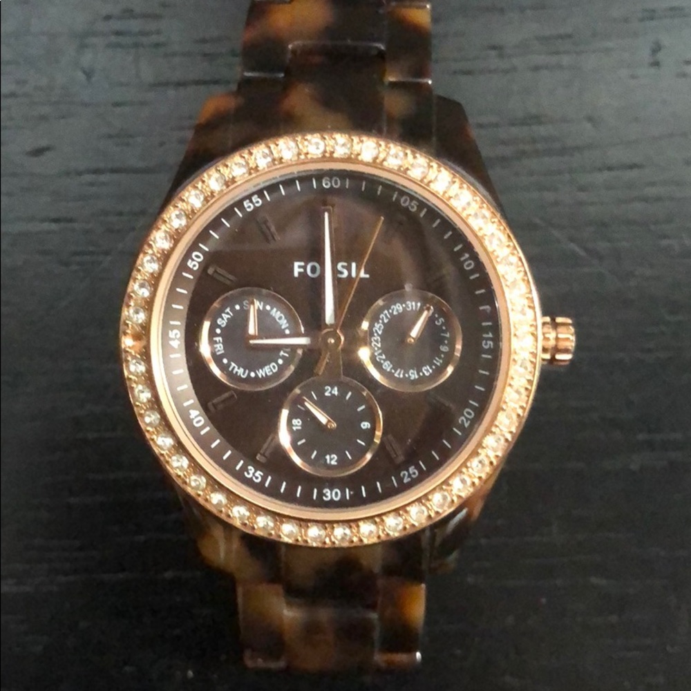 Tortoise Fossil Watch - image 3